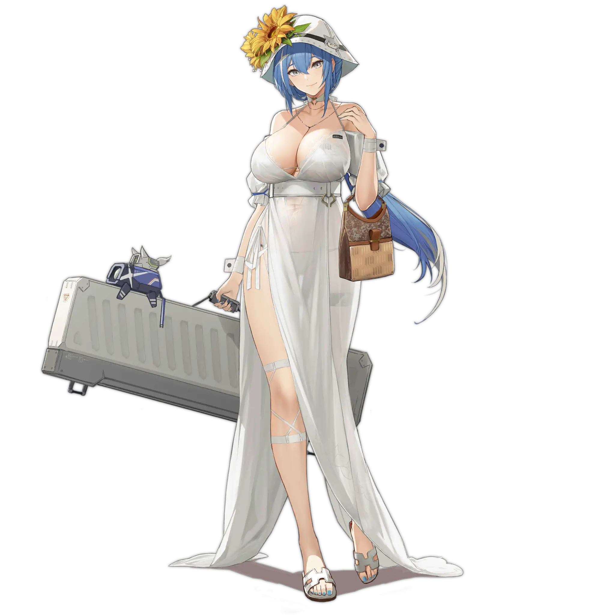 Illustration du skin 