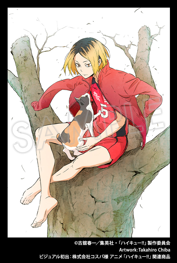 Visuel dessin&eacute; par Takahiro Chiba, utilis&eacute; pour la figurine ARTFX J de Kenma Kozume !